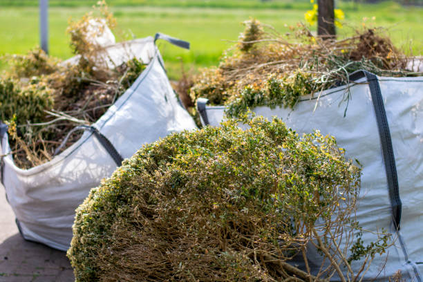 Best Electronics and E-Waste Disposal  in Snead, AL